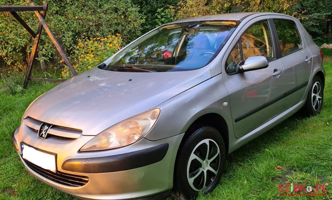2003' Peugeot 307 photo #1