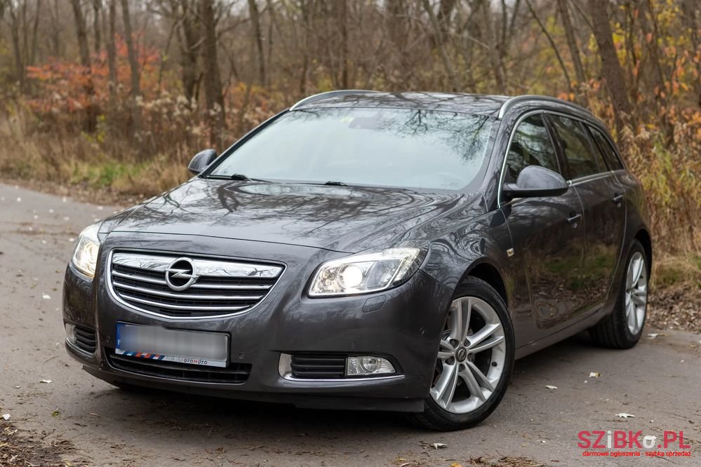 2011' Opel Insignia photo #1