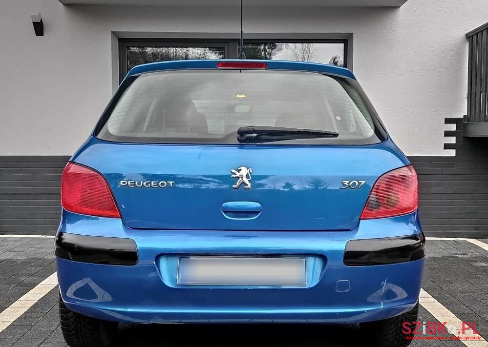 2005' Peugeot 307 photo #6