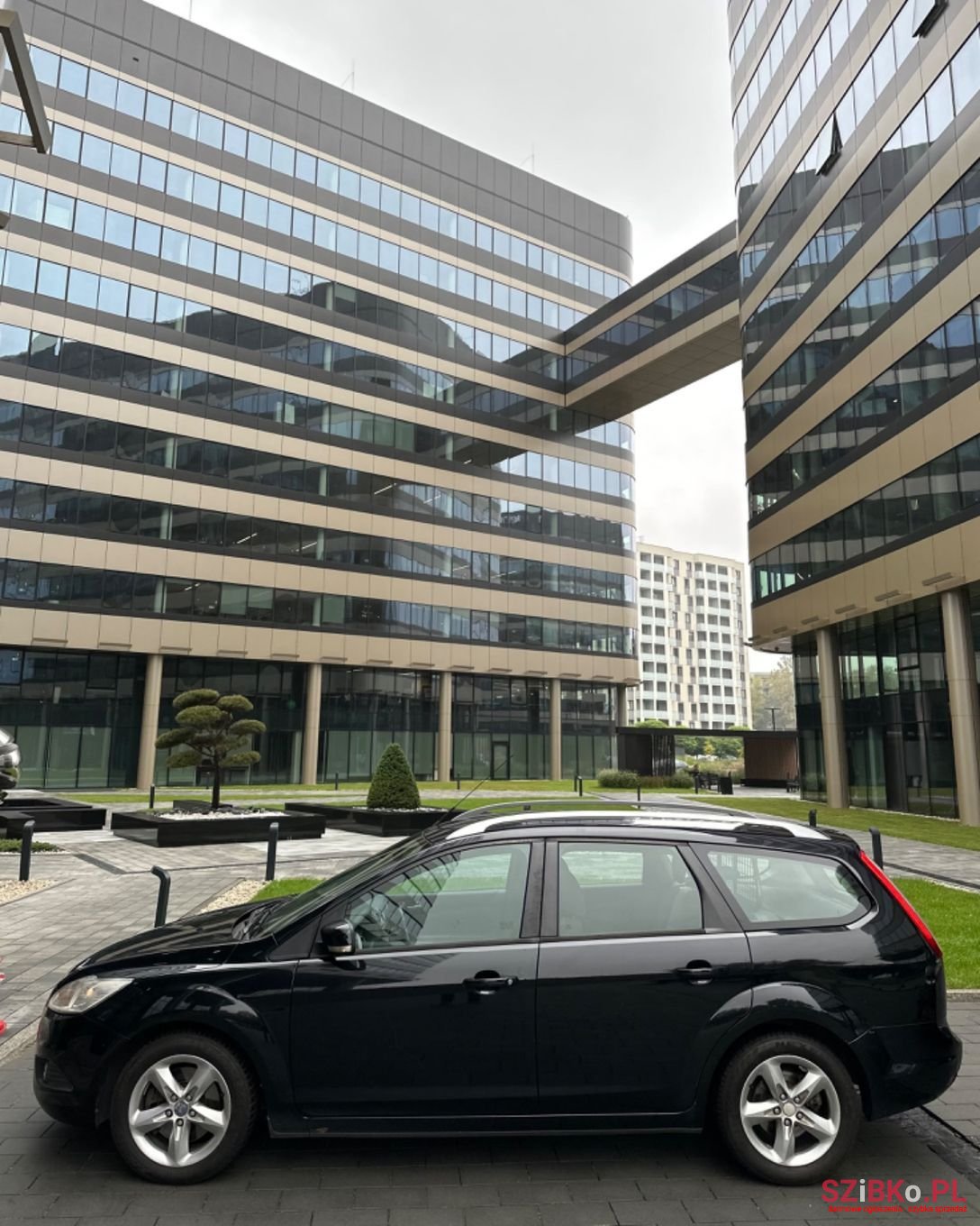 2010' Ford Focus photo #2