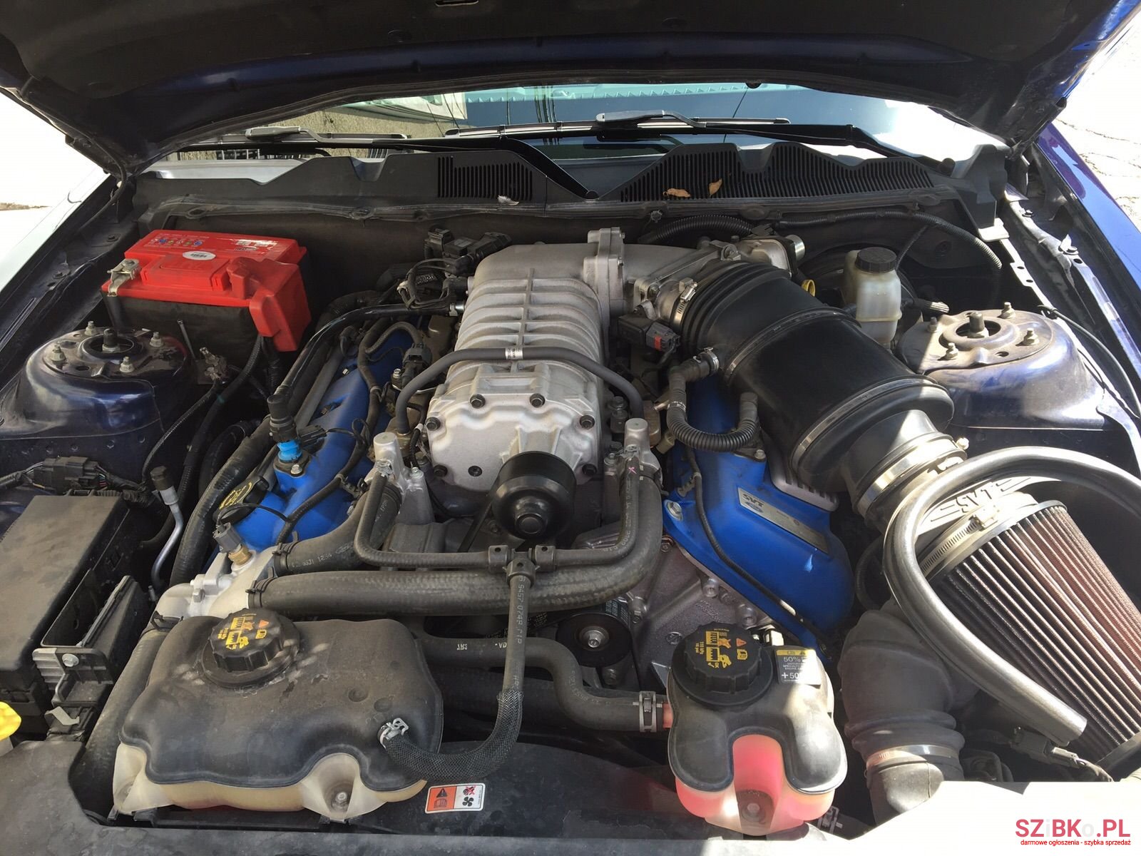 2011' Ford Mustang Shelby photo #7