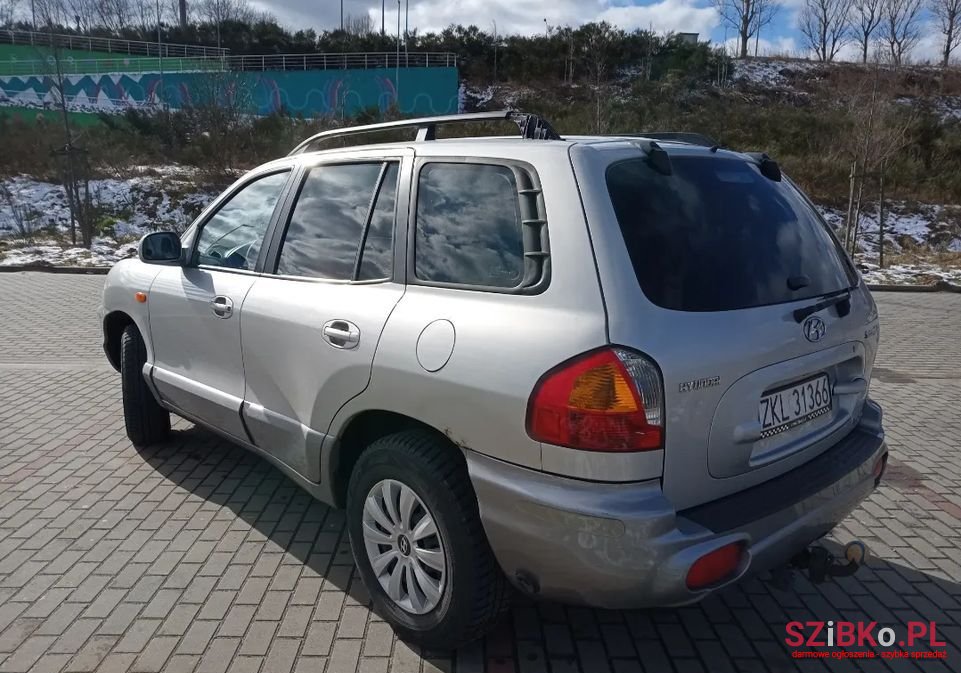 2004' Hyundai Santa Fe photo #6