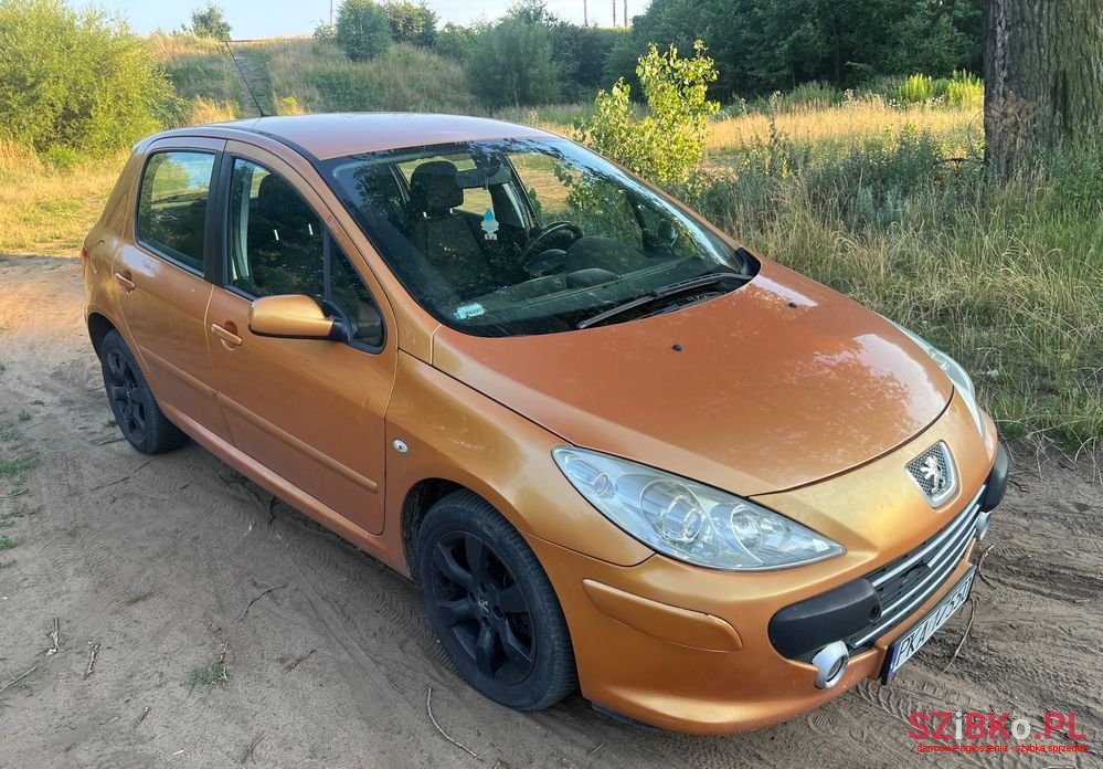 2006' Peugeot 307 photo #2