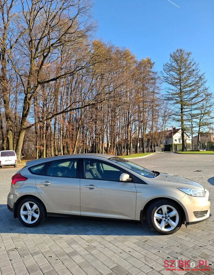 2014' Ford Focus photo #3