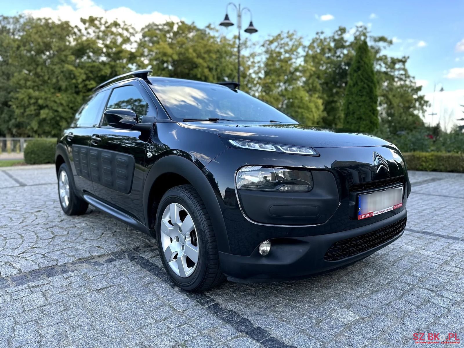 2014' Citroen C4 Cactus photo #4
