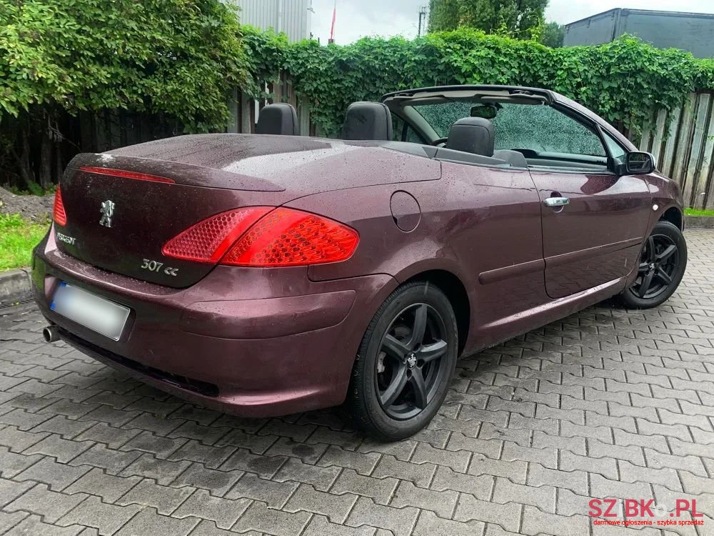 2003' Peugeot 307 photo #5