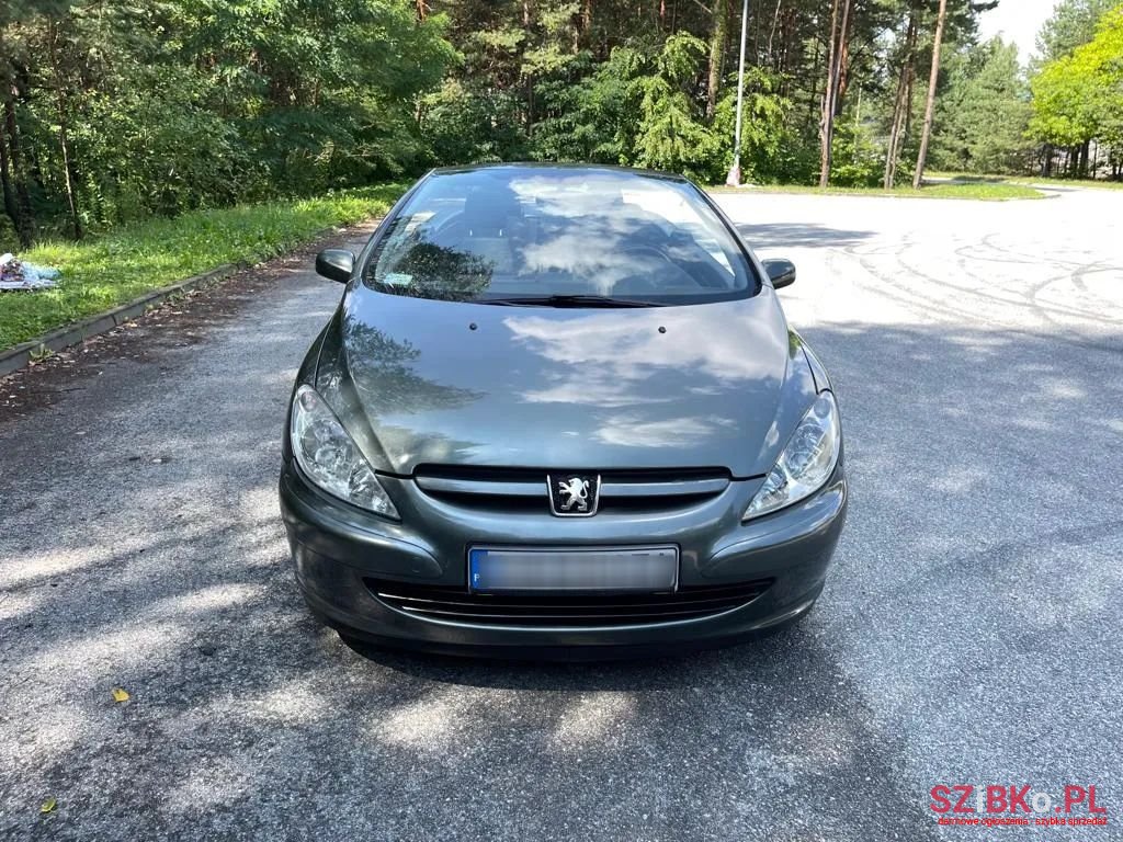 2004' Peugeot 307 photo #1