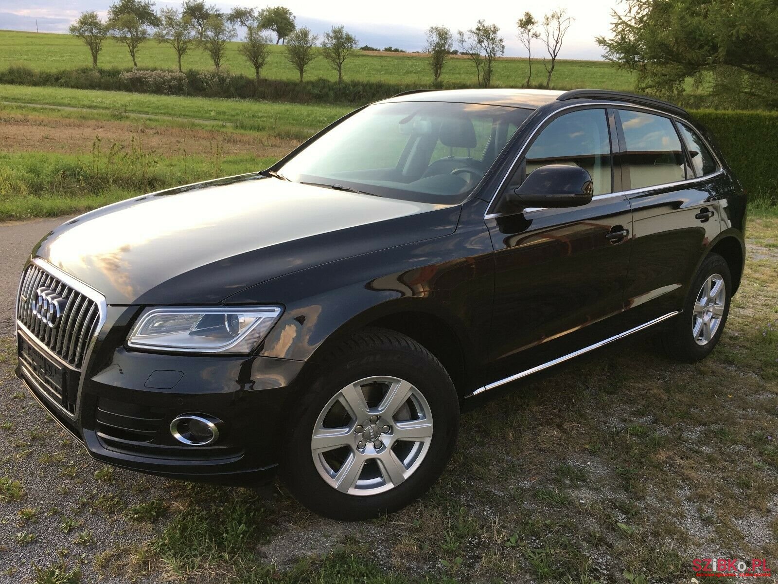 2014' Audi Q5 photo #1
