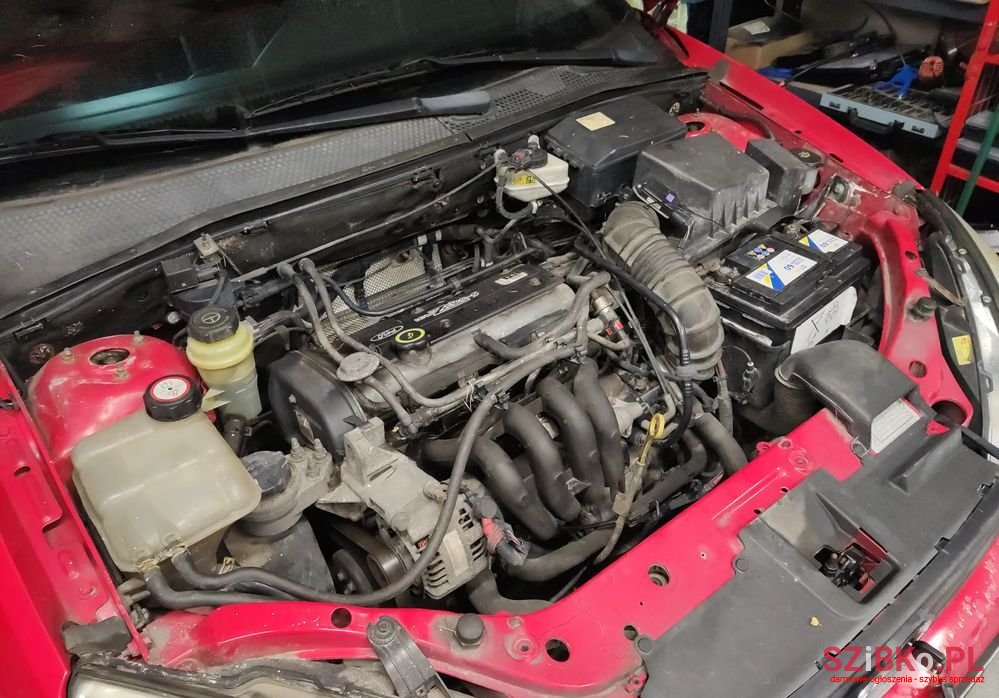 1999' Ford Focus 1.4 Trend photo #5