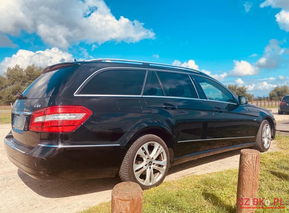 2010' Mercedes-Benz E-Class photo #5