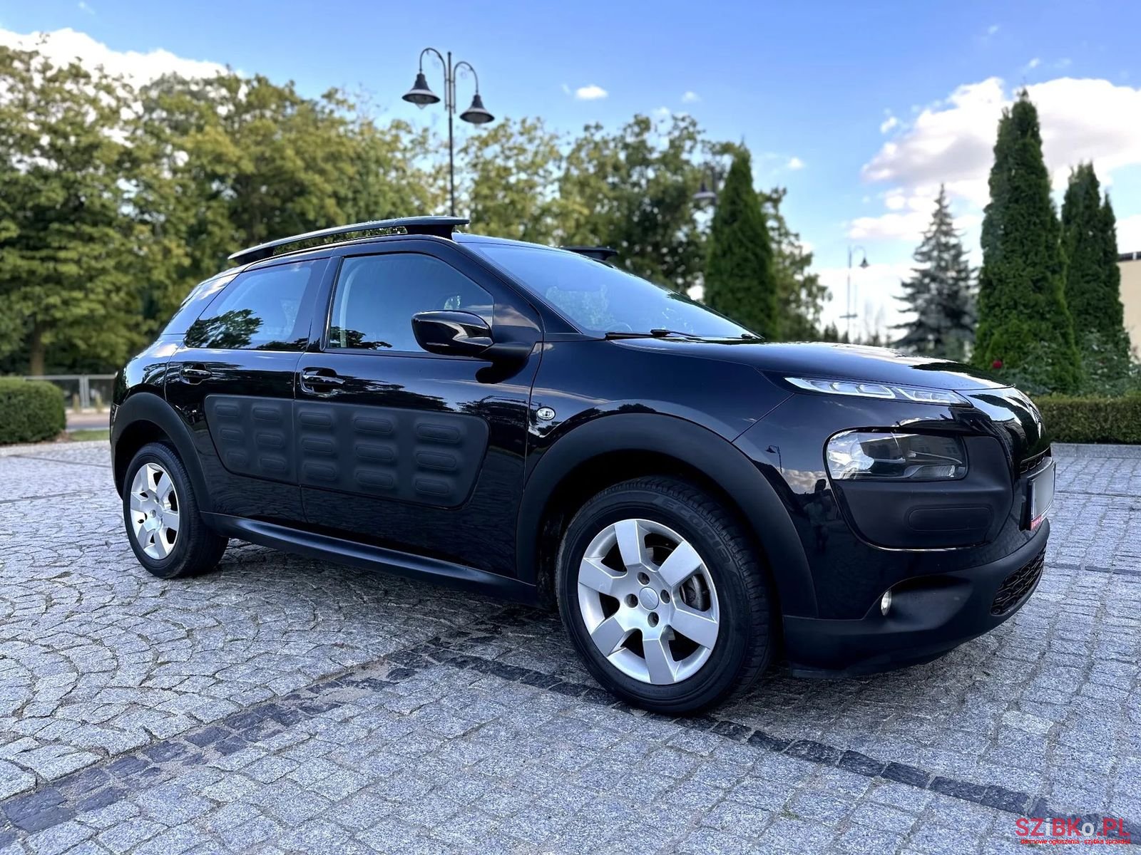 2014' Citroen C4 Cactus photo #5