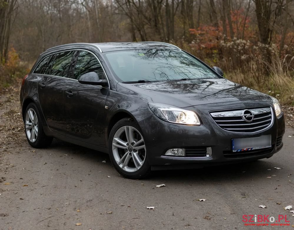 2011' Opel Insignia photo #2
