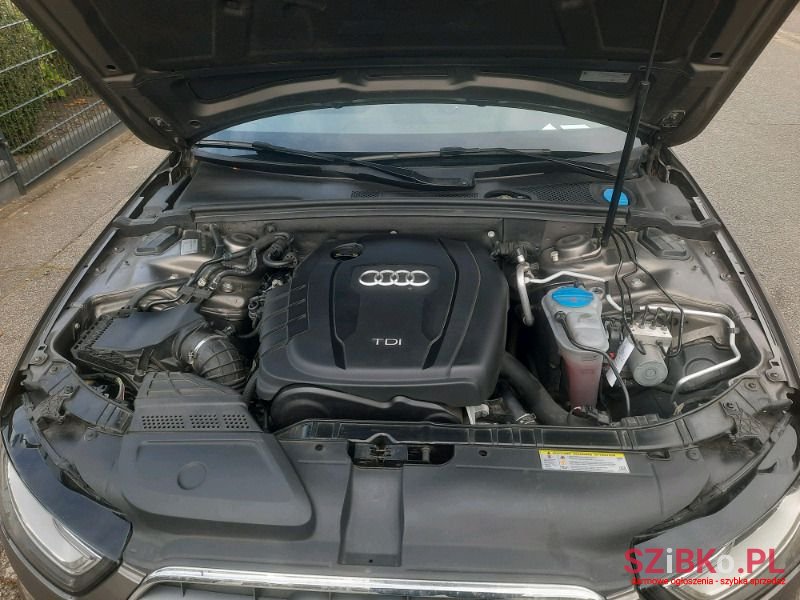 2014' Audi A4 photo #4