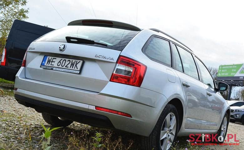 2019' Skoda Octavia photo #4