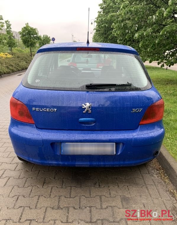2002' Peugeot 307 1.4 Xr photo #3