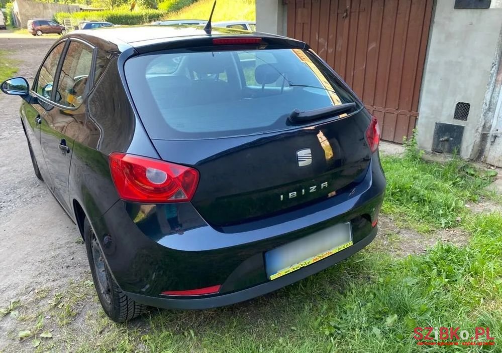 2012' SEAT Ibiza photo #5