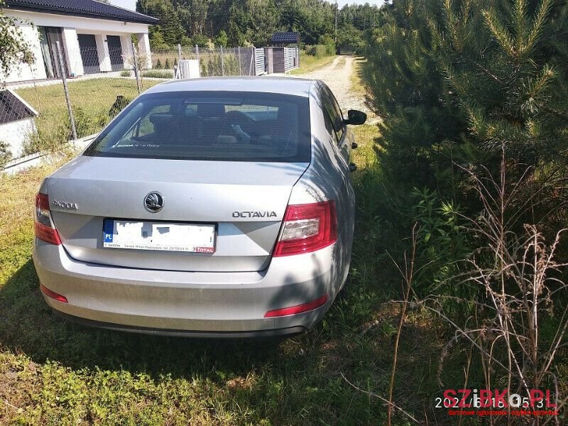 2015' Skoda Octavia photo #2