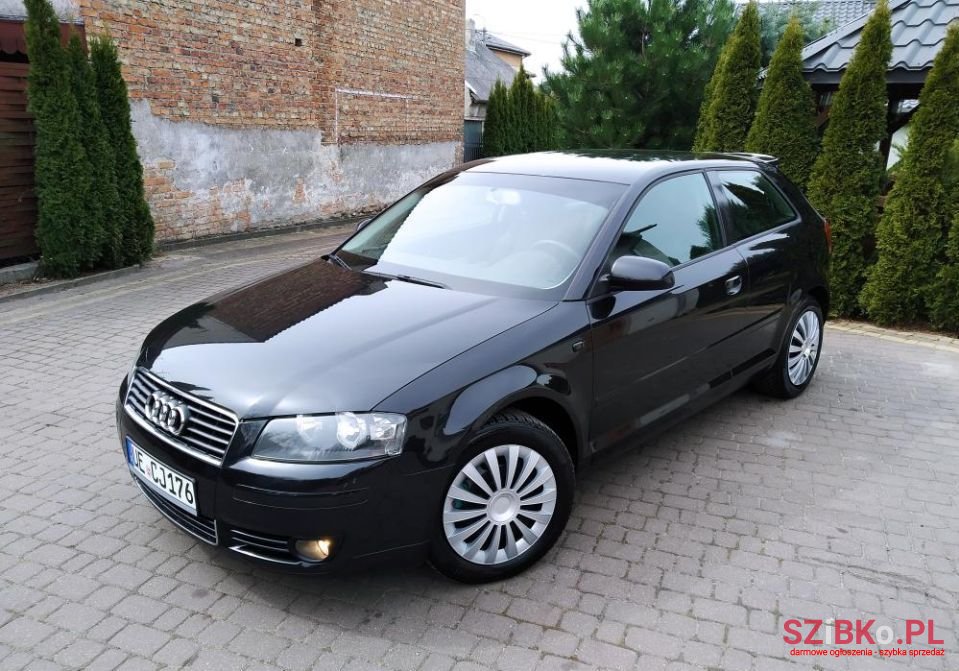 2004' Audi A3 Ambition photo #1