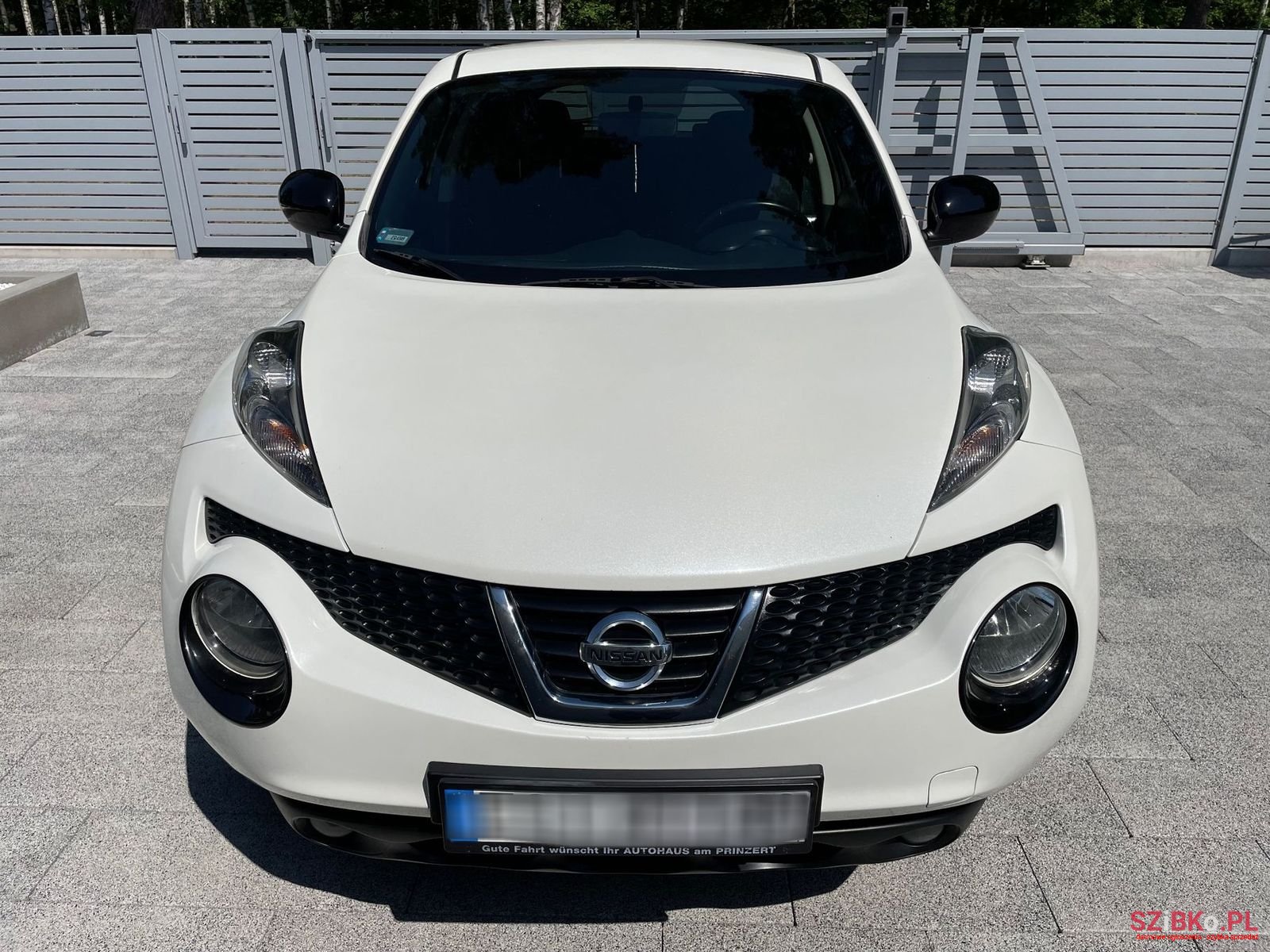 2013' Nissan Juke photo #1