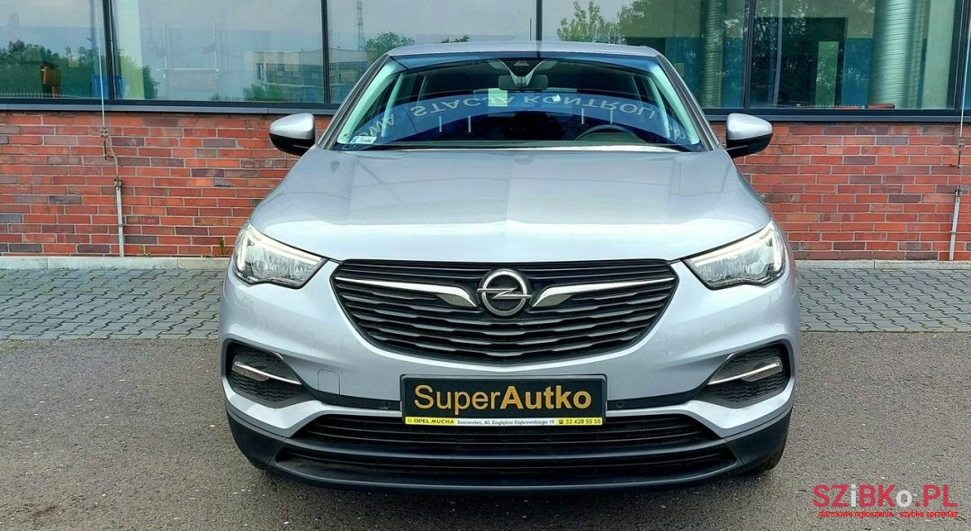 2019' Opel Grandland X photo #2