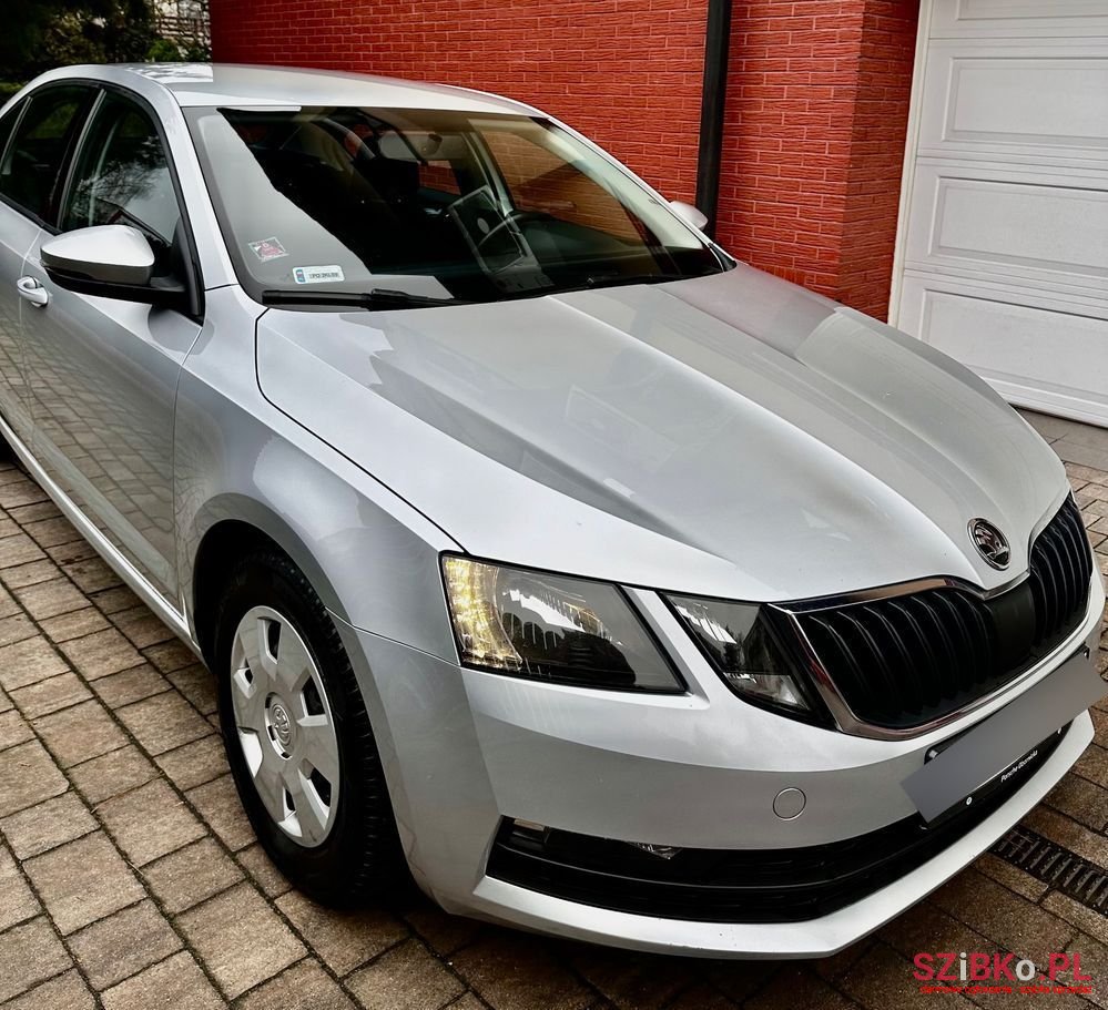 2019' Skoda Octavia photo #5