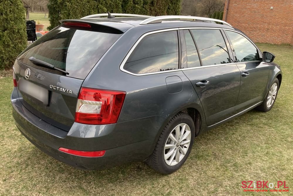 2015' Skoda Octavia photo #5