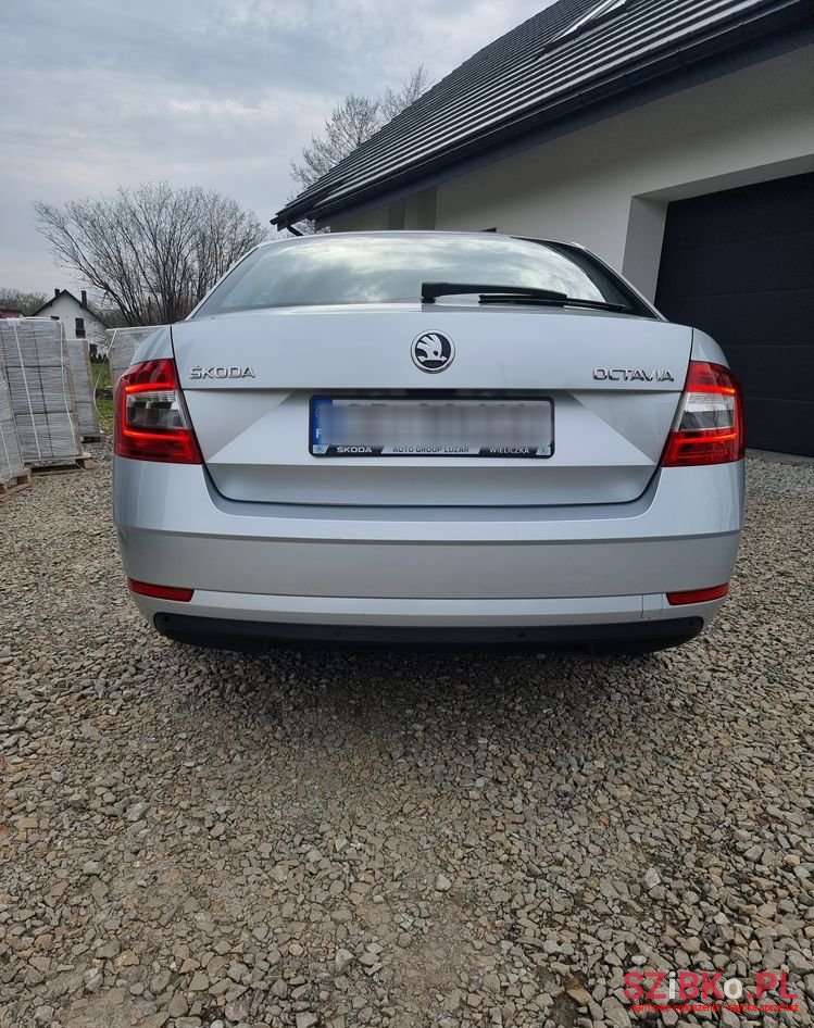 2019' Skoda Octavia photo #5