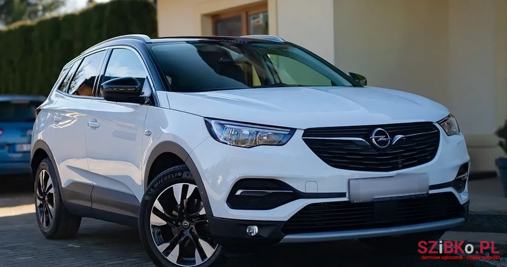 2019' Opel Grandland X photo #3