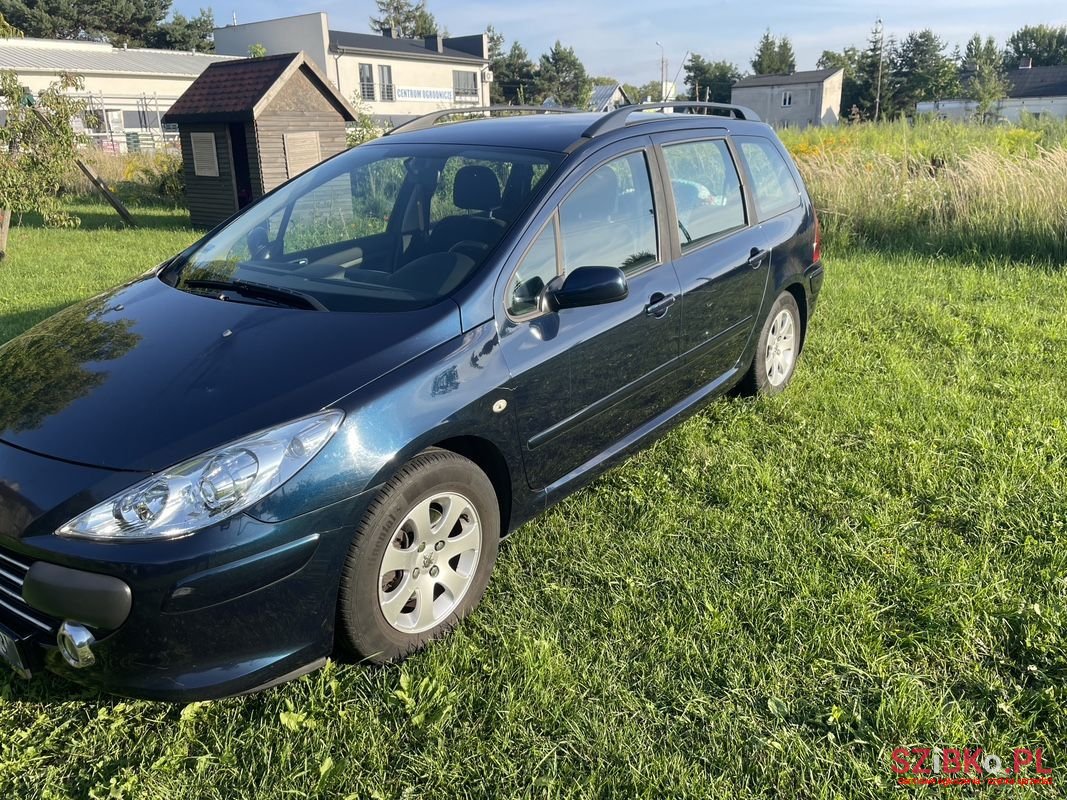 2007' Peugeot 307 photo #2