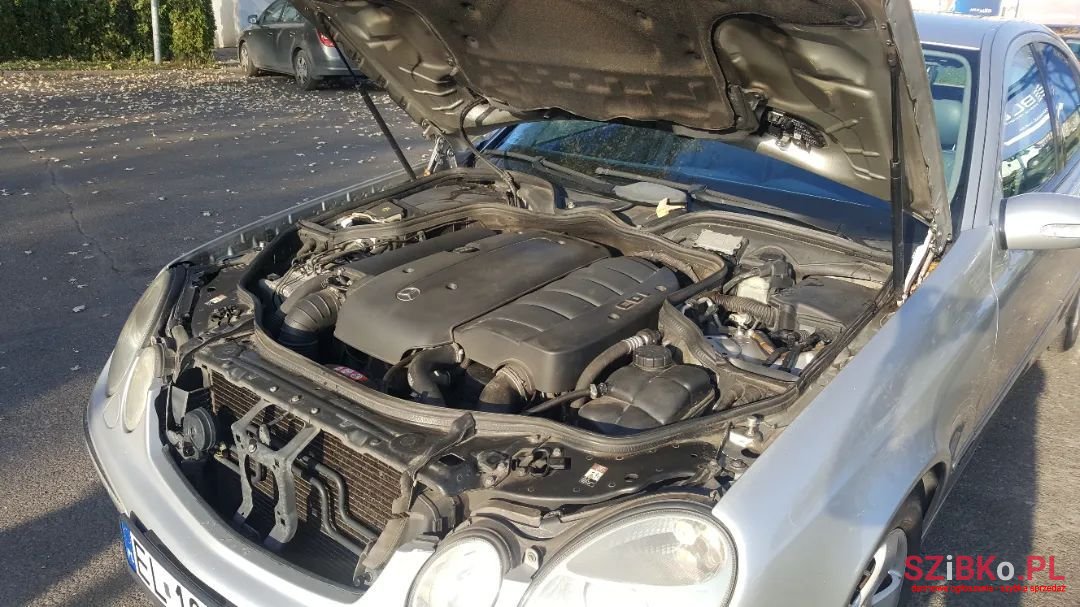 2004' Mercedes-Benz E-Class photo #6