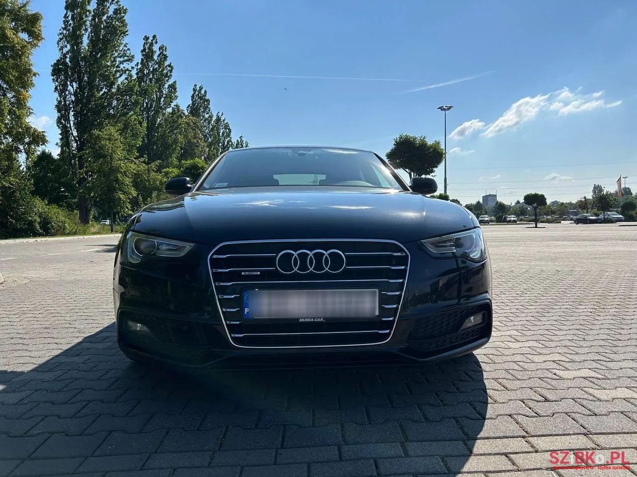 2015' Audi A5 photo #2