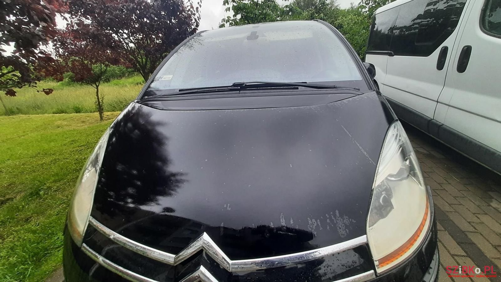 2009' Citroen C4 Picasso photo #1