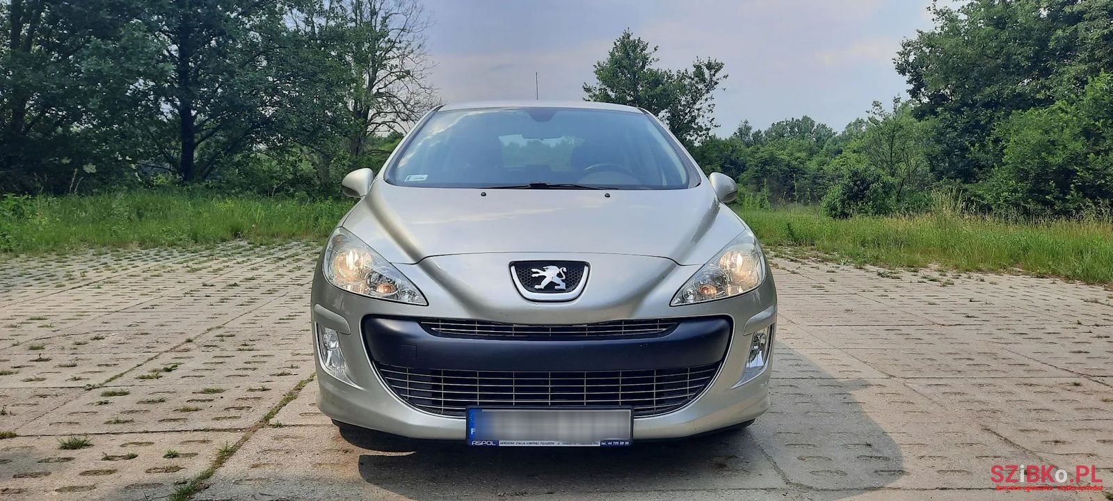 2009' Peugeot 308 photo #1