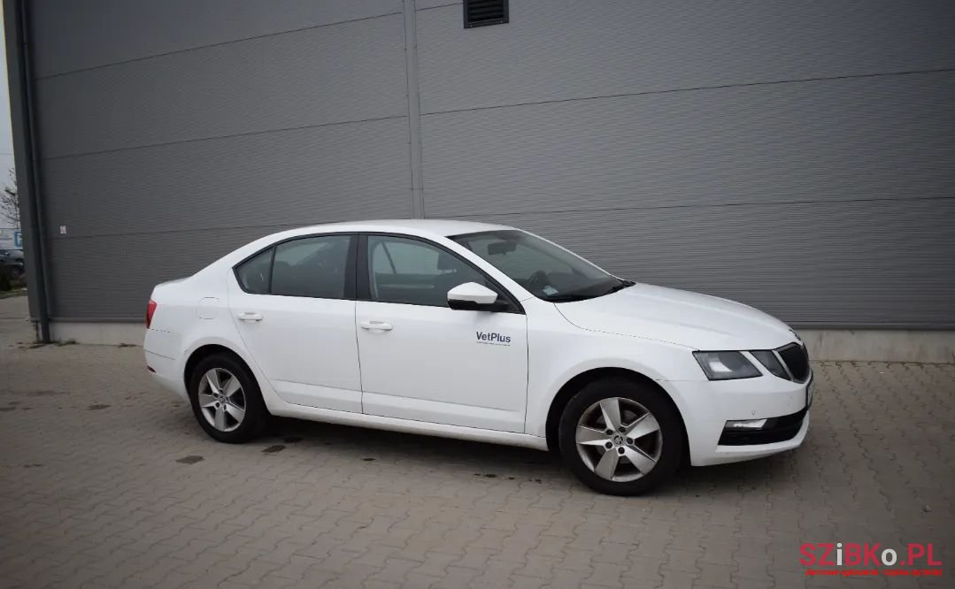 2017' Skoda Octavia photo #2