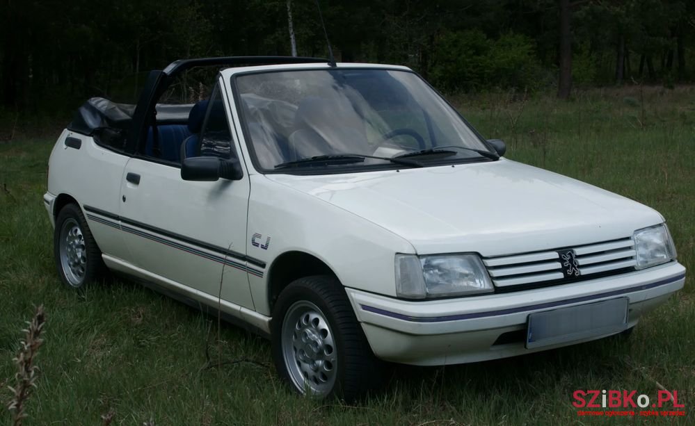 1991' Peugeot 205 1.1 Cj photo #6
