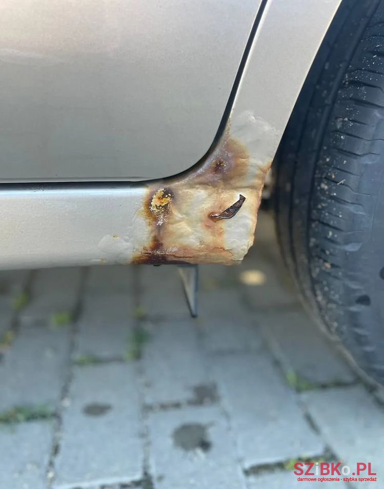 2005' Kia Cerato photo #4