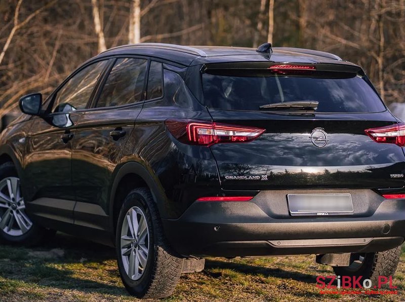 2018' Opel Grandland X photo #5