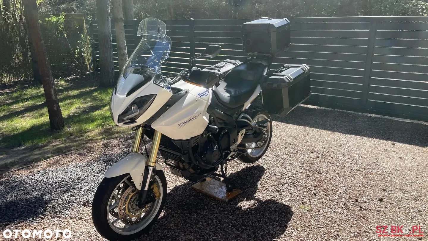 2009' Tiger Triumph photo #1