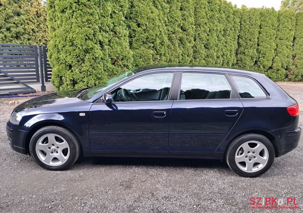 2007' Audi A3 1.6 Sportback photo #6