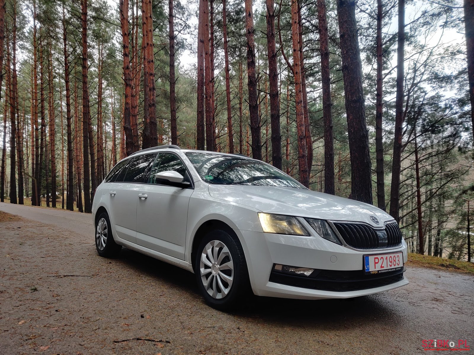 2017' Skoda Octavia 2.0 TDI / DSG photo #6
