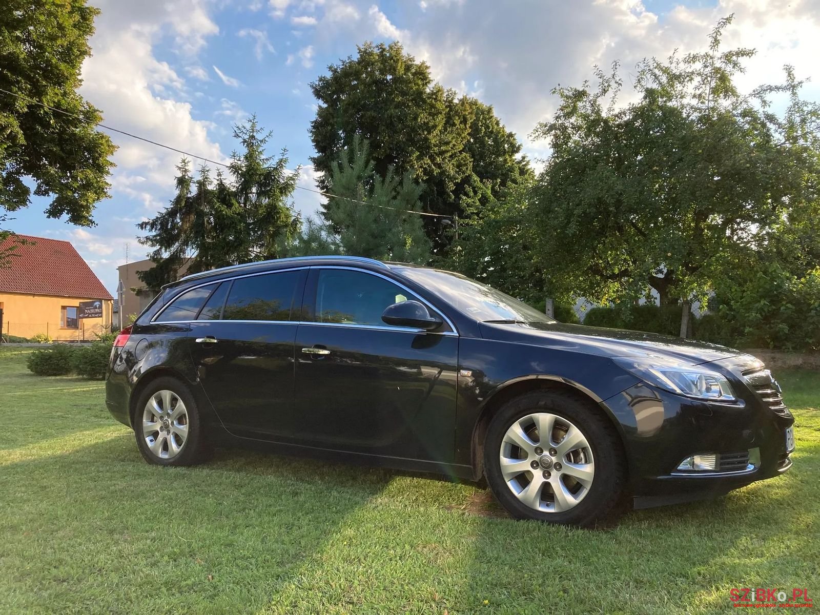 2012' Opel Insignia photo #4