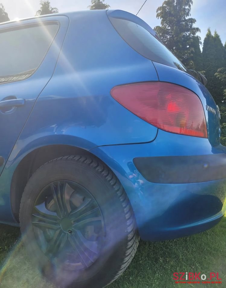 2003' Peugeot 307 photo #5