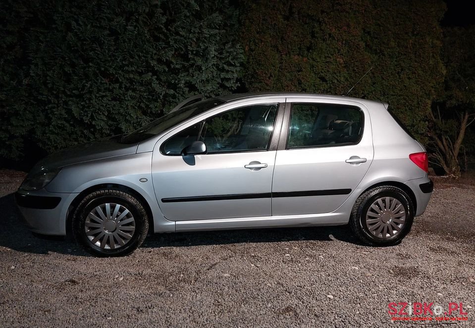 2003' Peugeot 307 photo #5