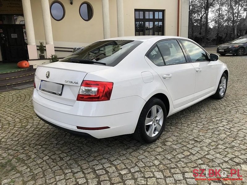 2019' Skoda Octavia photo #2