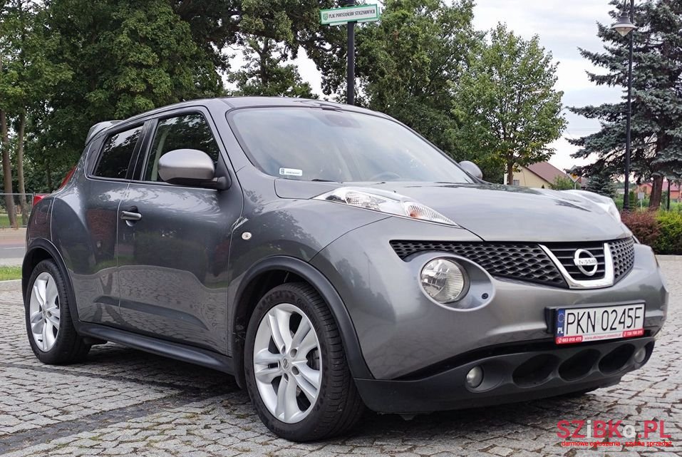 2013' Nissan Juke photo #5