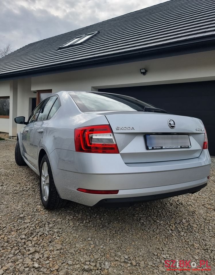 2019' Skoda Octavia photo #4