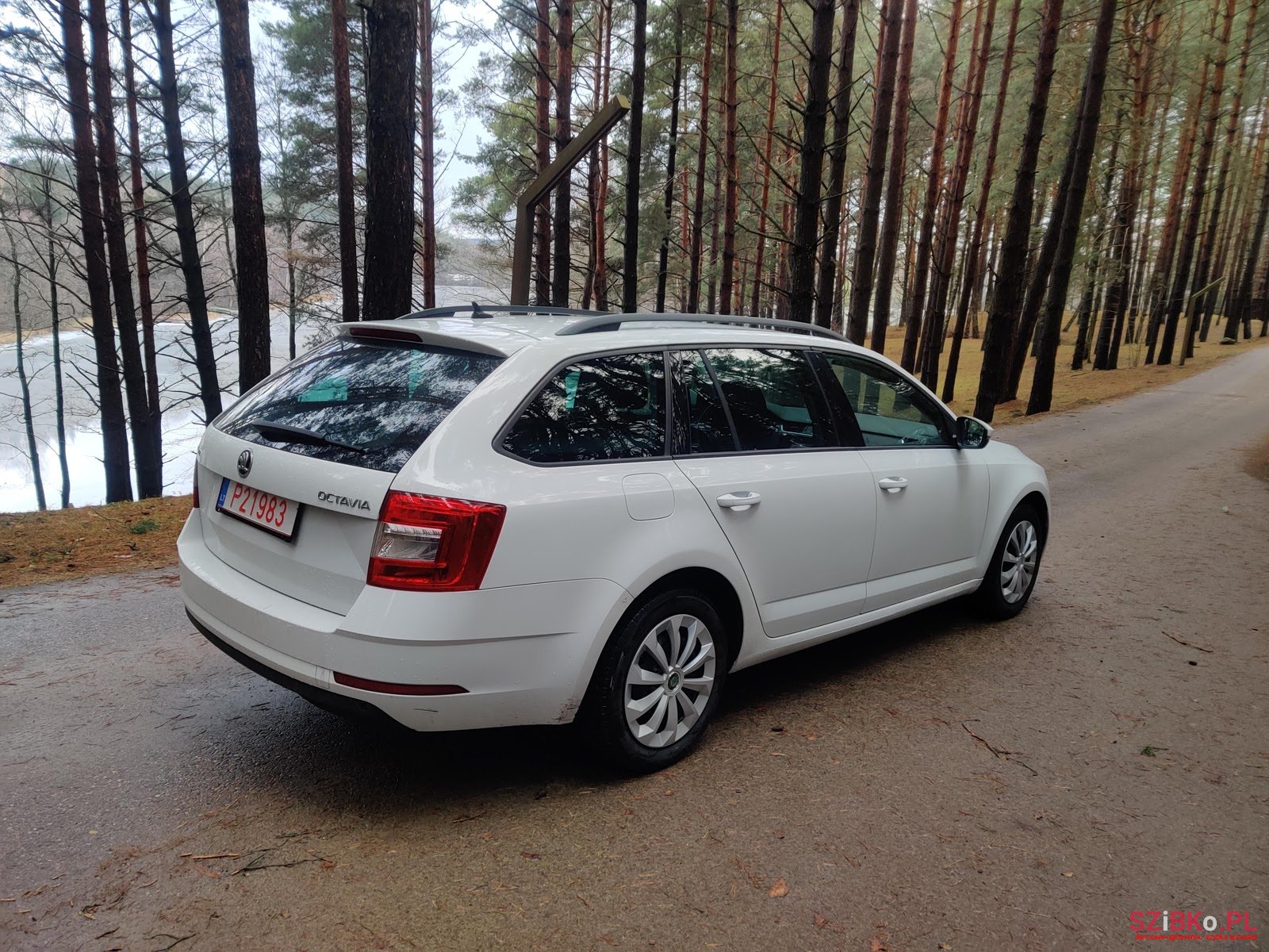2017' Skoda Octavia 2.0 TDI / DSG photo #4