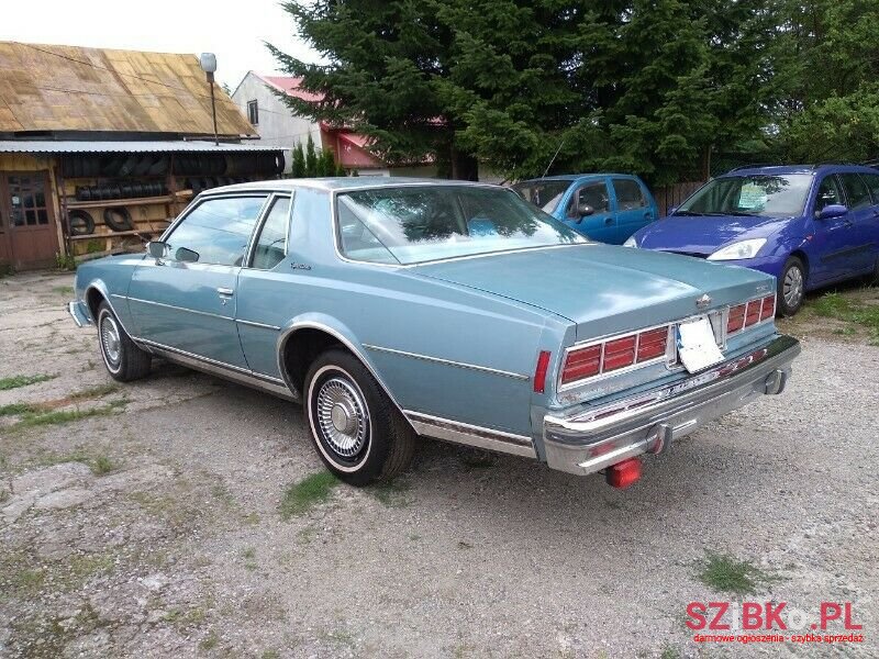 1979' Chevrolet Caprice photo #4