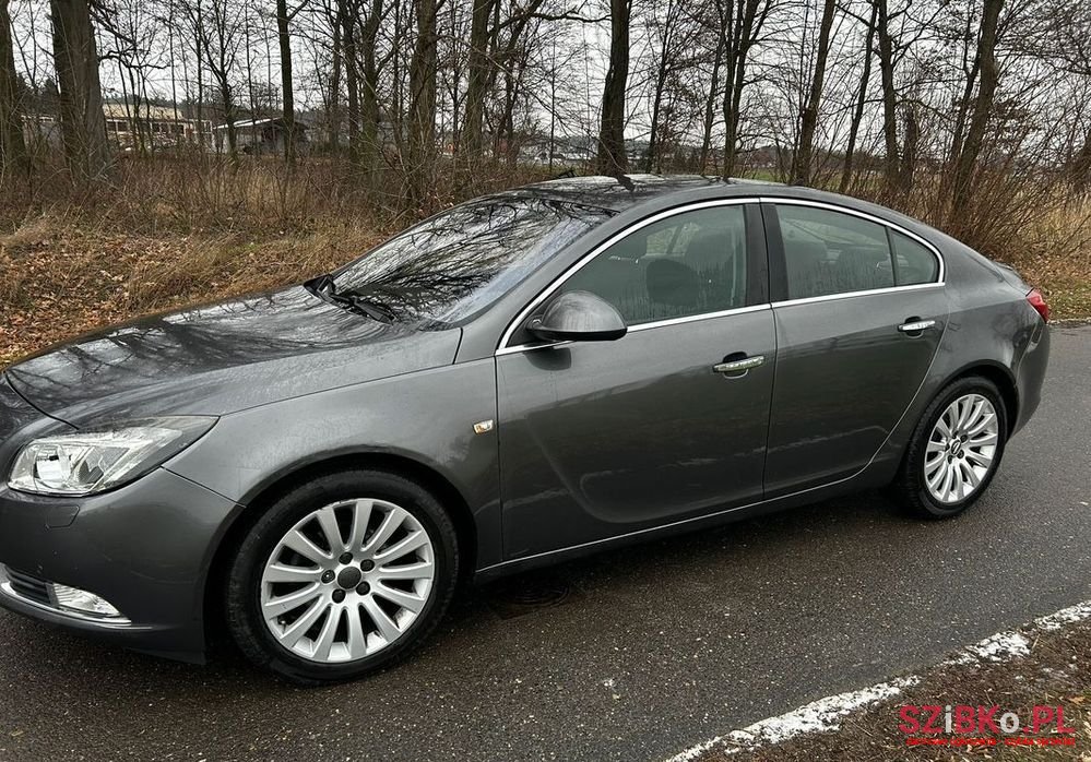 2010' Opel Insignia 2.0 Cdti photo #2