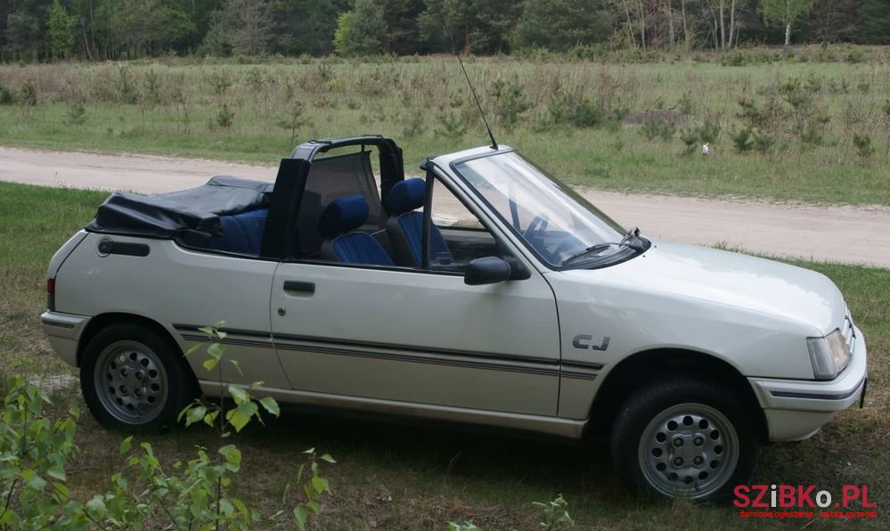 1991' Peugeot 205 1.1 Cj photo #1